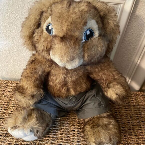 Peter Rabbit 2011 Build a Bear Plush Rabbit - Picture 1 of 15